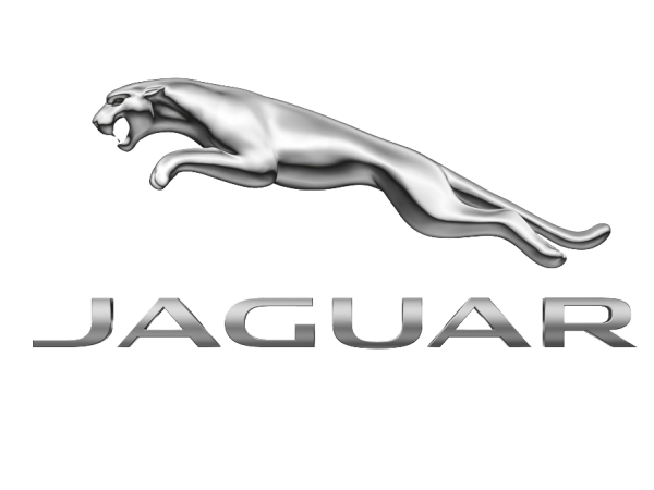 Jaguar Jaguar
